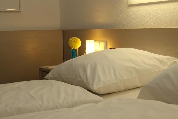 Hotel Und Gasthof Zur Laute Mindelheim Bagian luar foto